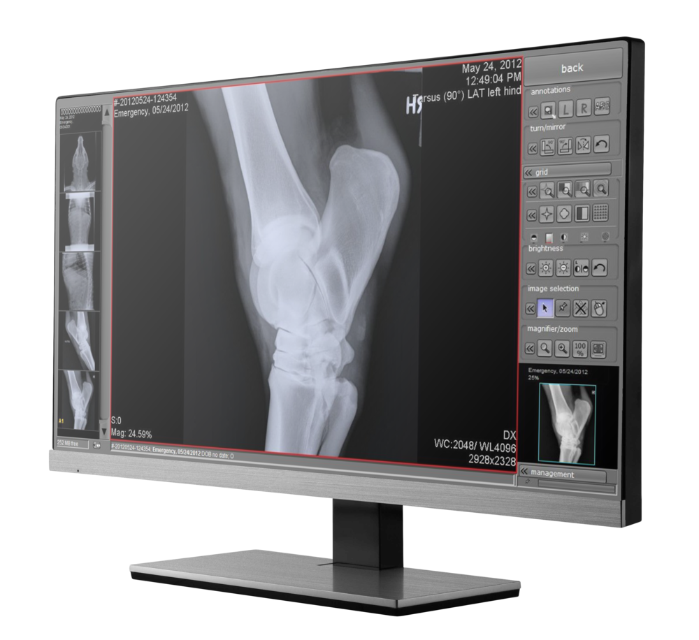 X Ray Facilities St Aubyn Veterinary Clinic X Ray Facilities St Aubyn Veterinary Clinic